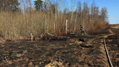 Виявили з повітря та загасили: на Волині рятувальники приборкали пожежу на торфовищі