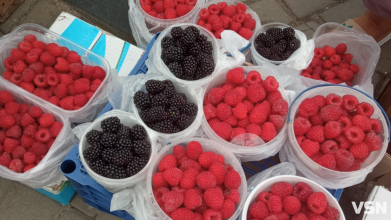 Скільки коштують ягоди на ринку у місті на Волині