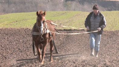 Життя за 65 км від Луцька: як господарюють селяни у Старому Загореві на Волині