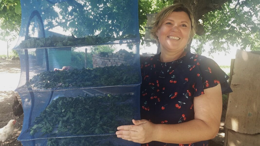Пряний дух дому: родина з Волині вирощує власні спеції й трави для себе та захисників