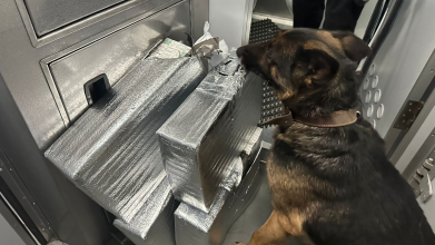 Контрабанда в туалеті: собака волинських прикордонників винюхала сигарети у потязі