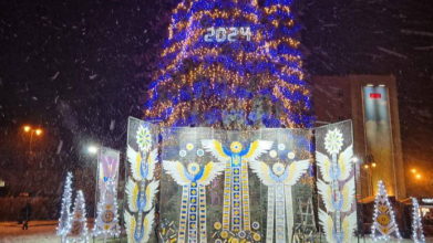 У центрі Луцька засвітилися святкові ялинки. Відео
