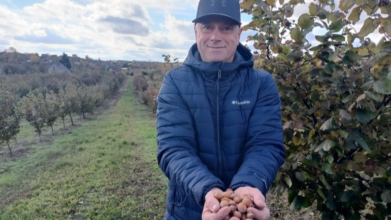 Бізнес на горіхах: волинянин отримав грант від держави і почав вирощувати фундук