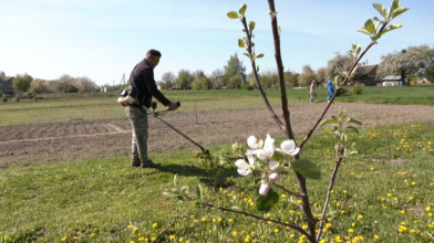 «Багатства не наживеш, тільки горба» — жителі Волині про весняно-польові роботи у селі