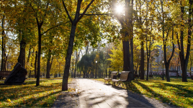 потепління в Україні, погода в Україні