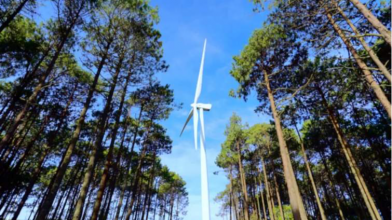 Біля Луцька збудують вітрову електростанцію на 50 МВт