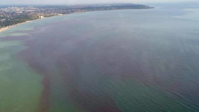 Чорне море раптом стало червоним в Одесі