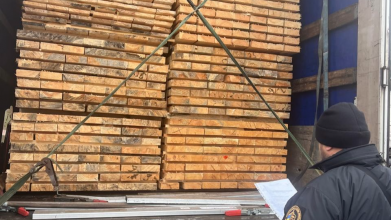 На Волинській митниці зупинили незаконний експорт соснових брусів вартістю майже 7 тисяч євро
