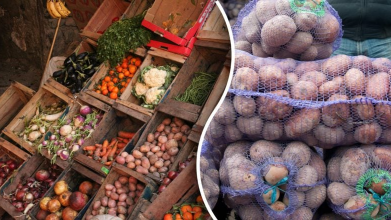 Ніколи не зберігайте картоплю поряд з цими овочами: буде гнити!