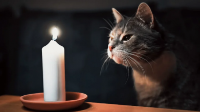 Де та коли вимкнуть світло на Волині 20 березня