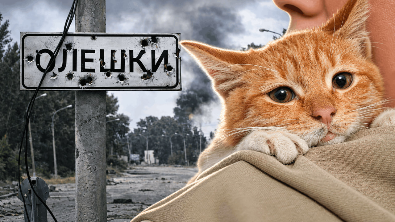 З окупованих Олешків врятували людей: найстаршій – 94 роки, наймолодшій – трохи більше року