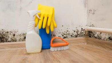 Як швидко позбутися плісняви в квартирі простими засобами