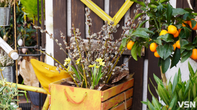 Як правильно зберігати освячену вербу та що робити зі старою