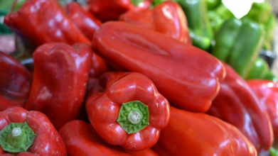 вирощування солодкого перцю