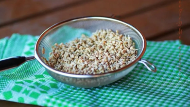 Не манка і не вівсянка: ця каша найкраще підходить для сніданку