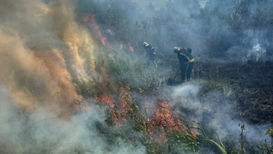 На Волині через людську недбалість сталася пожежа сухої трави