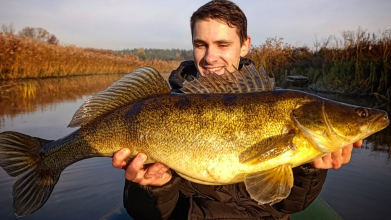 Євгеній Ярмоленко піймав судака на річці Тетерів