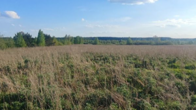 Під Луцьком хочуть здати в оренду понад 15 гектарів землі сільськогосподарського призначення