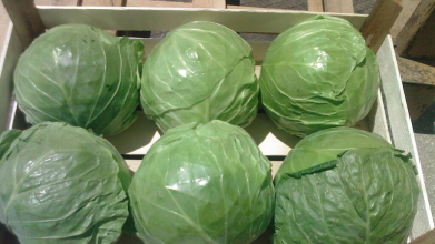 Як правильно зберігати капусту взимку, щоб не втратити врожай