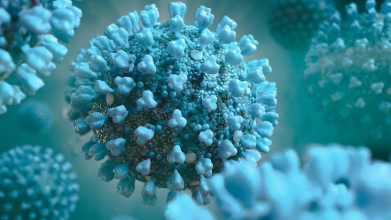 У МОЗ розповіли, коли новий штам коронавірусу «Пірола»  потрапить в Україну