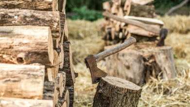 Скільки коштують дрова у січні 2026 року