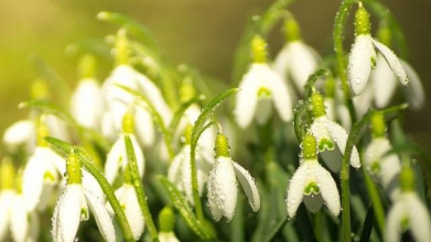 Якою буде погода на Волині у березні: синоптики дали прогноз