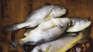 Рибні відходи для підживлення ґрунту