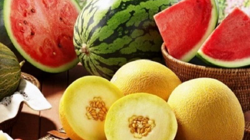 Ці підживлення допоможуть зібрати небачений врожай кавунів та динь: найкращі добрива для баштанних