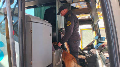 На Волині службові собаки виявляють наркотики у найнесподіваніших місцях