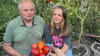 З кожного пеньочка – по відру врожаю: як лучанин отримує величезний врожай помідорів на невеликій ділянці