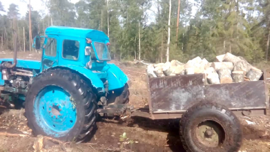 На Волині за крадіжку дров судили батька сімох дітей