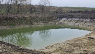 На Волині виявили самовільні ставки: сільська рада порушила закон