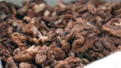 На Волині зросли ціни на волоські горіхи: промислових садів немає, урожай забезпечують селяни