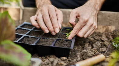 Повний місячний посівний календар на березень 2026 року: не пропустіть ці дні