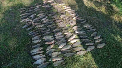 На Волині чоловік незаконно виловив 262 карасі: суд призначив покарання