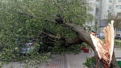 У Луцькому районі через негоду пошкоджені дахи, повалене дерево впало на авто