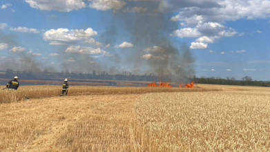 пожежа, жнива, Рівненщина