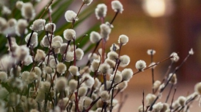 Весна з сюрпризами: народний синоптик з Волині розповів, якою буде погода в березні