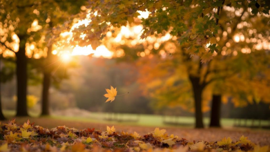 Ігор Кібальчич про потепління в Україні