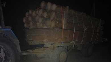 На Волині у лісництві виявили 60 пнів та незаконне перевезення деревини