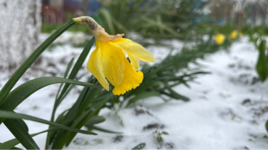 Погода в Україні 9 квітня