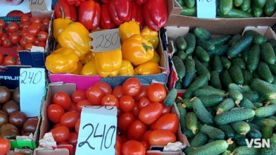Свіжі огірки, томати та перші кабачки: скільки коштують ранні овочі на ринку в Луцьку