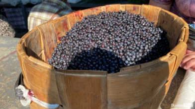 На ринках Луцька вже торгують лісовими ягодами: ціни