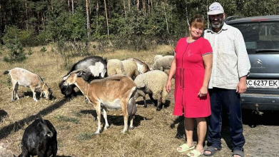 Двічі очолював сільраду, а на пенсії завів кіз: як господарює Петро Яруна з Волині