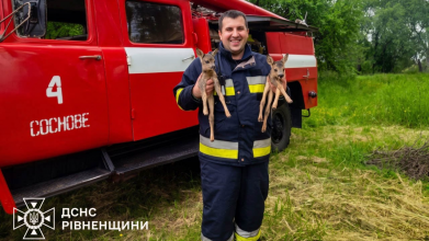 оленят врятували з пожежі, новини Рівненщині