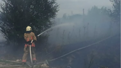 У трьох районах Волині досі гасять торфовища: за добу ліквідували чотири пожежі в екосистемах