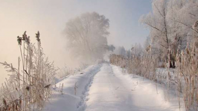 прогноз погоди у Волинській області