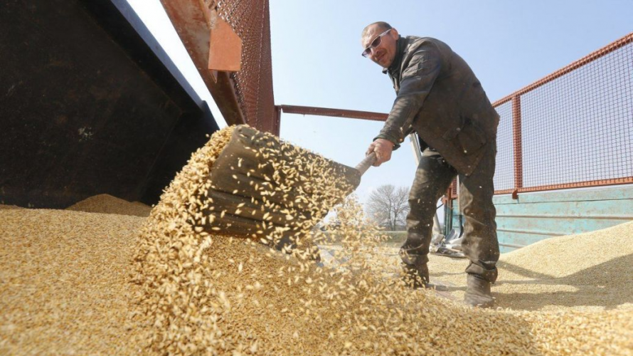 Вторгнення РФ до України може спричинити глобальний сплеск недоїдання та голоду, - експерт ООН