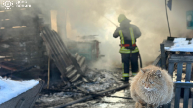 На Волині під час пожежі в селі згорів хлів, але врятували котика