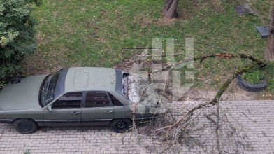 У Луцьку через шквальний вітер постраждав припаркований автомобіль